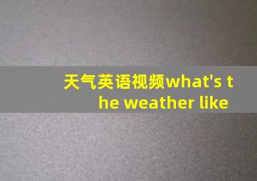 天气英语视频what's the weather like